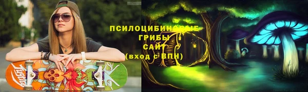 прущая мука Арсеньев