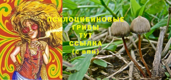 прущая мука Арсеньев