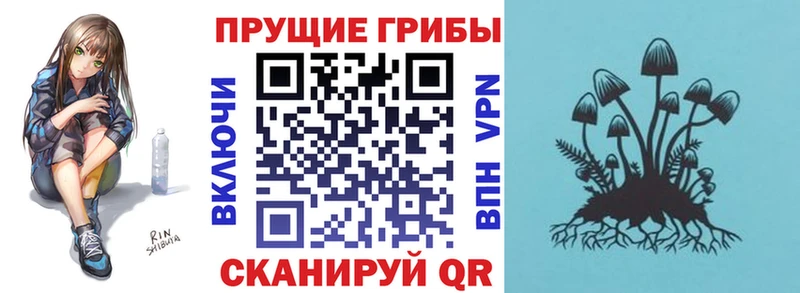 Галлюциногенные грибы Psilocybe  Усть-Лабинск 